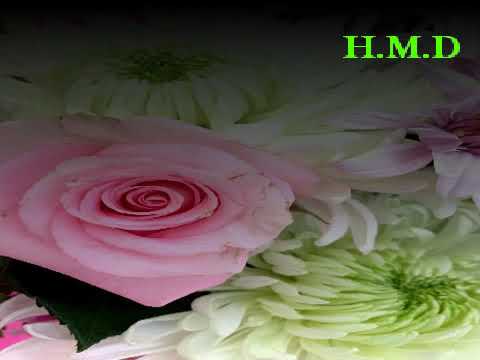 كاظم الساهر غلطة وندم