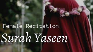Beautiful Quran Recitation Surah Yaseen Female Reciting Qur'an Heart soothing voice [WOMEN ONLY]