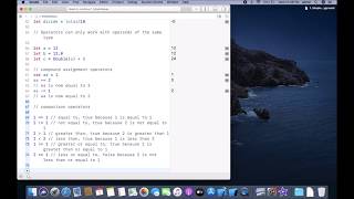 iOS 13 Programming for Beginners | 2.Simple Values and Types