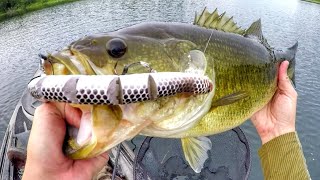 Fishing A Rattlesnake Lure For Big Bass!