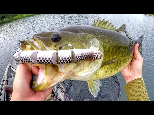 Fishing A Rattlesnake Lure For Big Bass! 