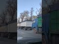 КАМАЗы 5320 Зерновозы (Краснодар 2023)