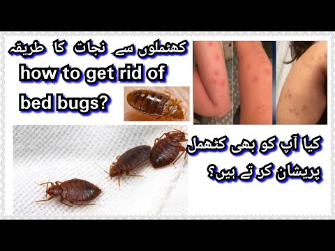 Video: Bedbug թակարդներ. Ինչպես դա անել ինքներդ: Որոնք են որոգայթները: Սխալների էլեկտրոնային թակարդներ