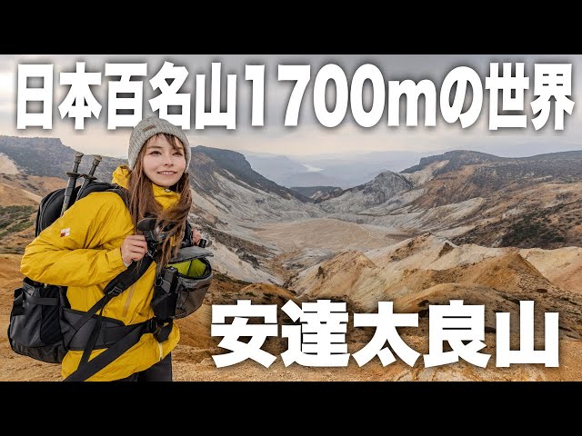 山本倉丘「牡丹」 Air Jordan 7 Retro Greater China