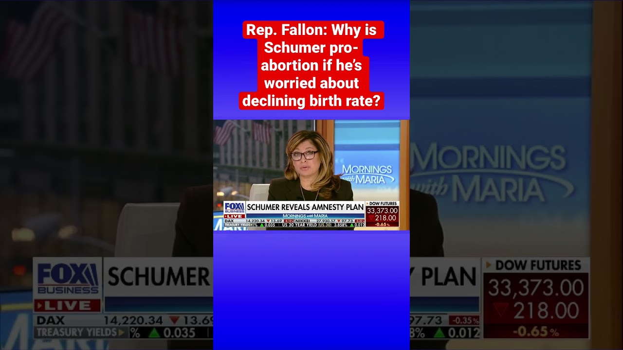 Sen. Schumer cites dropping US birth rate while making case for amnesty for illegal migrants #shorts