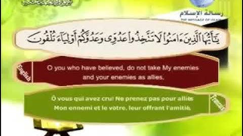 الشيخ مصطفى الاهوني سورة الممتحنة