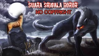 Suara Srigala Seram mencekam | suara srigala horor no copyright