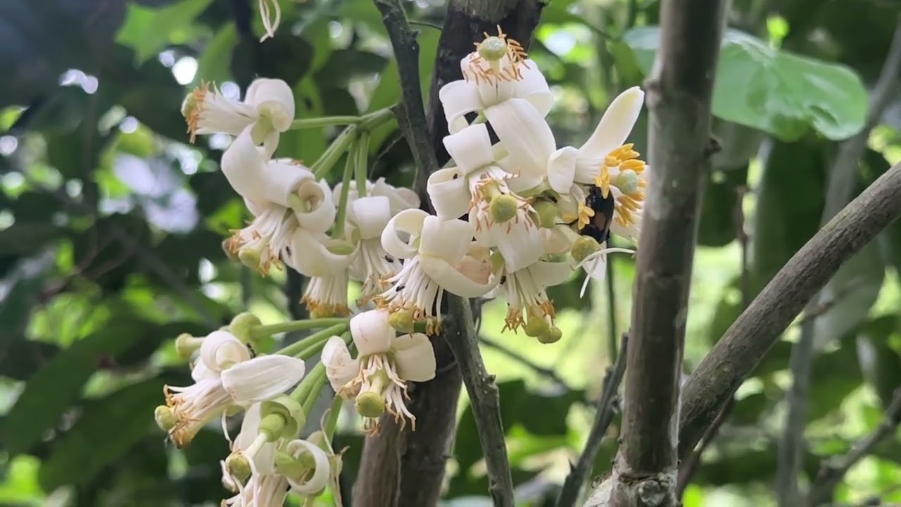 ngày 2 tháng 3, 2026