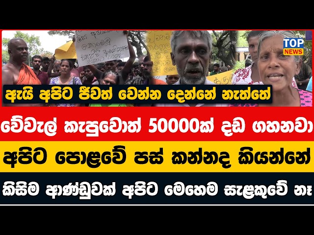 වේවැල් කැපුවොත් 50000ක් දඩ - පාරම්පරික වේවැල් කර්මාන්තකරුවන් පාරට