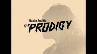 Respect to Maxim Reality (The Prodigy) Beats Of Blattodea Robots Don&#39;t Lie