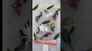 Celebrity Unique approach to surface pattern design. Works every time! Wealth