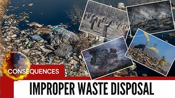 "Environmental Hazard: The Consequences of Improper Waste Disposal"