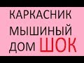 ДОМ КАРКАСНЫЙ МЫШИНЫЙ /  дом и мыши в стенах /  Разложение мышей в стенах