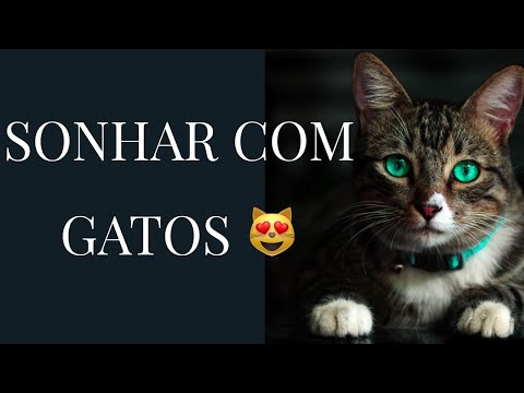 Vídeo: Por Que Os Gatos (incluindo Grávidas) E Os Gatos Sonham: Interpretação De Livros Populares De Sonhos, Descrições De Vários Sonhos Com Gatinhos E Animais Adultos