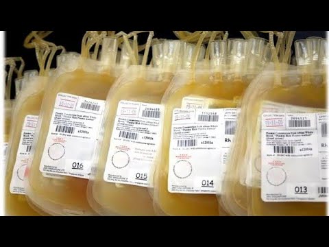 Blood Platelet Concentrate