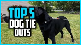 ✅Top 5  Best Dog Tie Outs in 2024