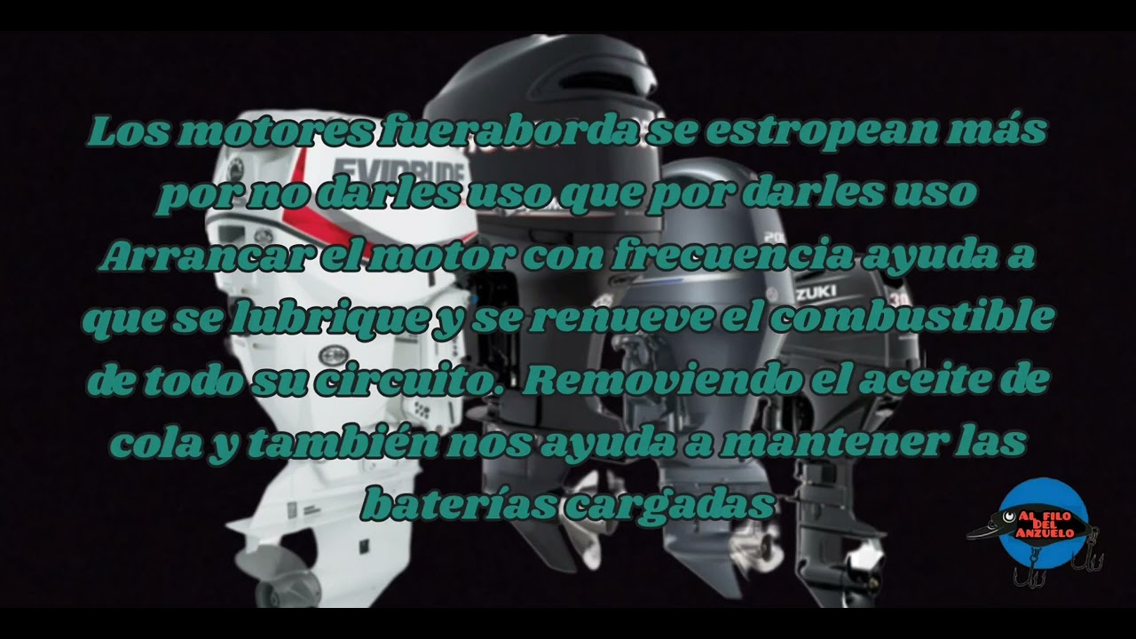 PEQUEÑO MANTENIMIENTO PARA MOTORES FUERABORDA