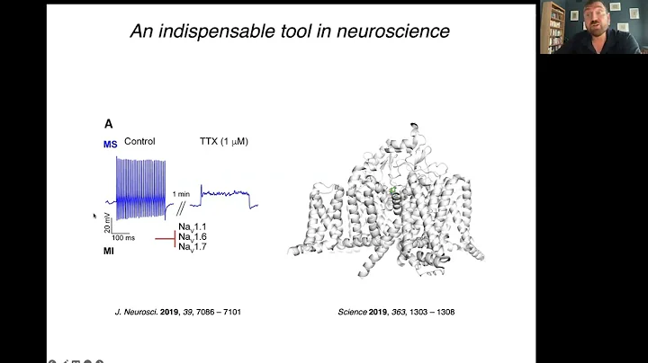 CPS Talk - Synthetic Sensory Physiology - Dr Dirk ...