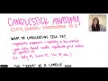 CANDLESTICK ANATOMY | day trading study journal ep. 3