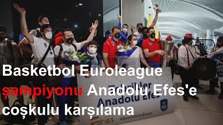 Basketbol Euroleague şampiyonu Anadolu Efes'e coşkulu karşılama