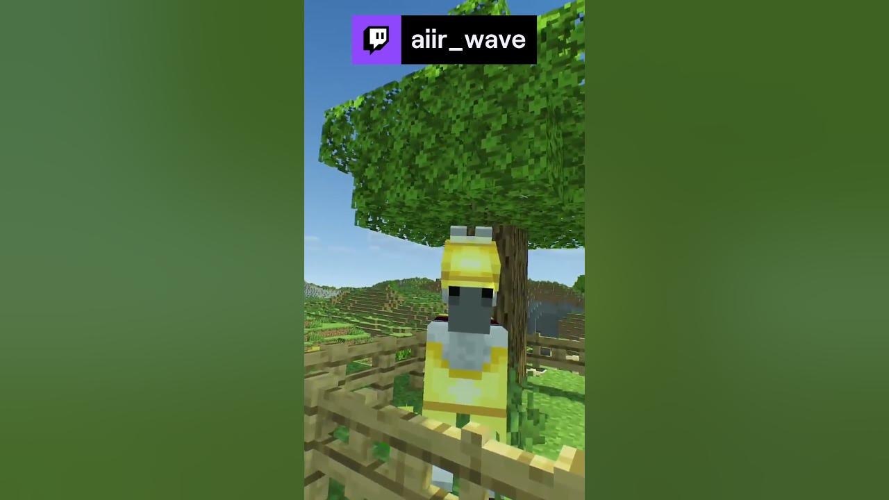 i-let-youtube-name-my-horse-follow-on-twitch-youtube