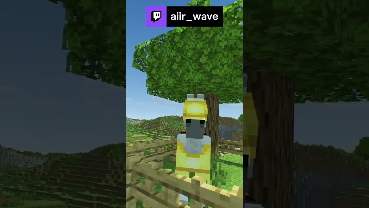 I Let Youtube Name My Horse Follow On Twitch YouTube I Let Youtube Name My Horse Follow On Twitch YouTube