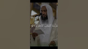 أحمد بن طالب أواخر سورة القيامة