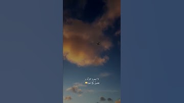 لا تهجروا القرآن💛#قرآن #تلاوة_خاشعة #انستقرام #انستا #حالات #حالات_واتس #تلاوة_خاشعة #بدون_حقوق