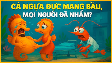 Có thật là cá ngựa đực mang bầu | tìm hiểu về loài cá ngựa | Sửu nhi