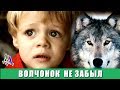 ВОЛЧОНОК не забыл про лесника - хищник СПАС сына лесника из воды и не дал утонуть