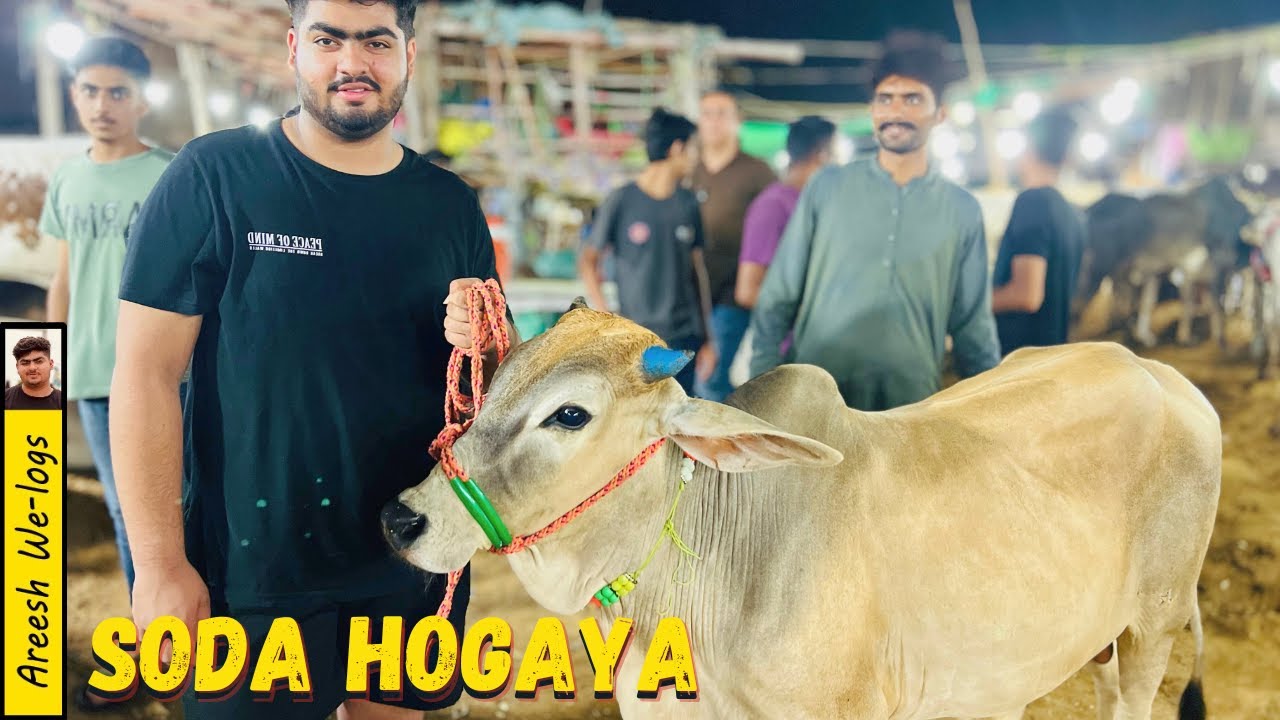 finally I bought my cow 🐮 Eid 2k24❤️❤️