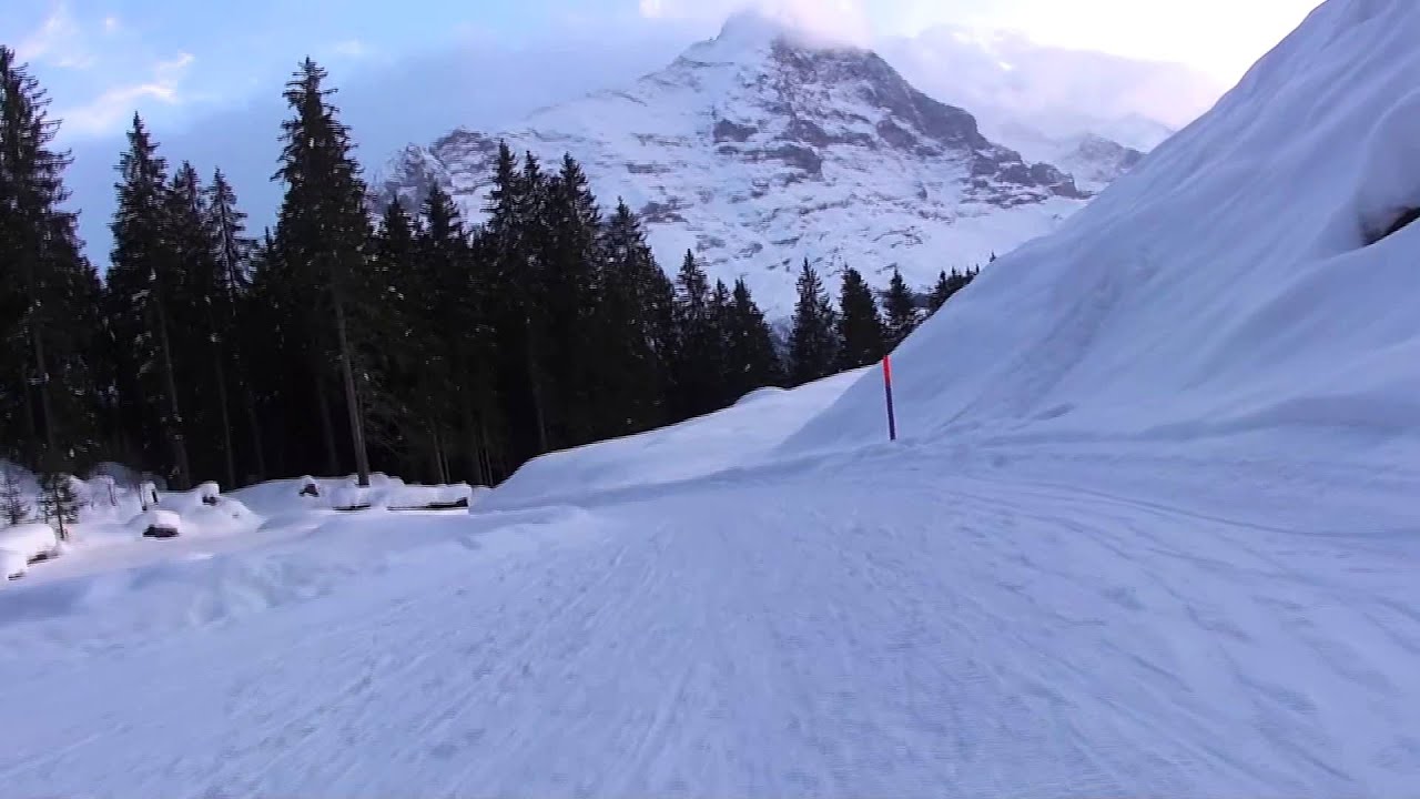 Sledding at Grindelwald YouTube