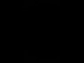 22 April 2025 22 April 2025