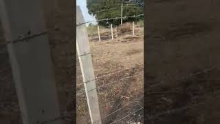 Sangareddy Malkapurplot1