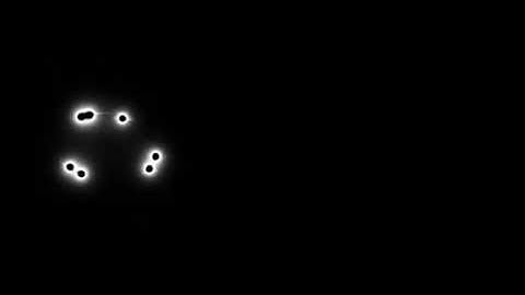 APB Reloaded: 2020 Montage