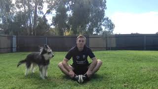 PE week 1 part 2   stretches