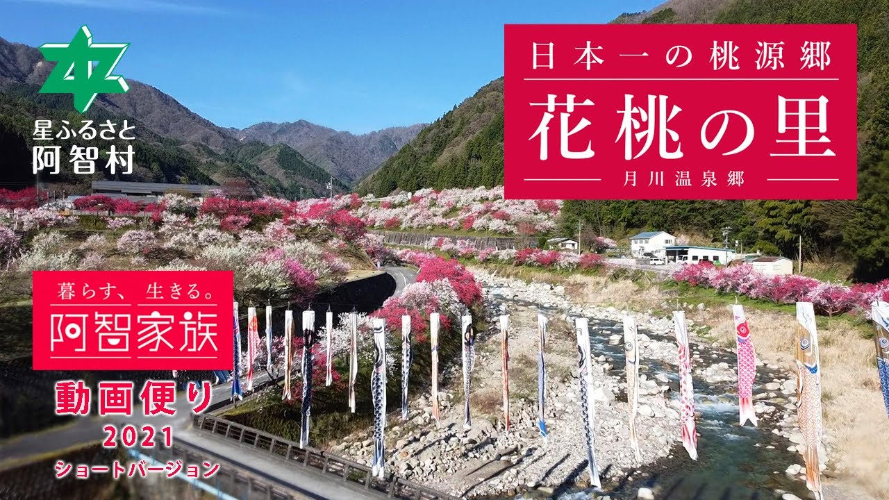 日本一の桃源郷 花桃の里21ショートバージョン 前編 長野県阿智村月川温泉郷 阿智家族 動画便り Youtube