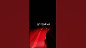 #سورة_هود | وأقم الصلاة طرفي النهار وزلفا من الليل إن الحسنات يذهبن السيئات ﴾ #ماهر_المعيقلي #قران
