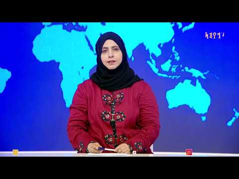 مسام: نزع 618 لغماً وذخيرة حوثية في عدة محافظات يمنية خلال الأسبوع الفائت