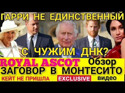 Видео: Будущее Royal Baby Alert! Это то, что будет выглядеть принц Гарри и Криссида Бонас?