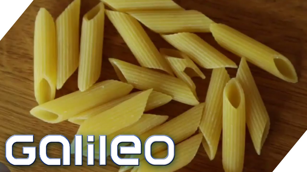 Die Nudel Die Nudel