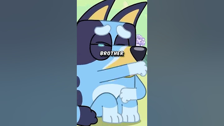 What Happened to Bluey's Older Brother? #shorts #bluey