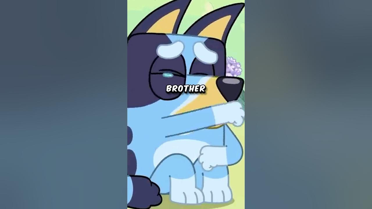What Happened to Bluey's Older Brother? #shorts #bluey What Happened to Bluey's Older Brother? #shorts #bluey