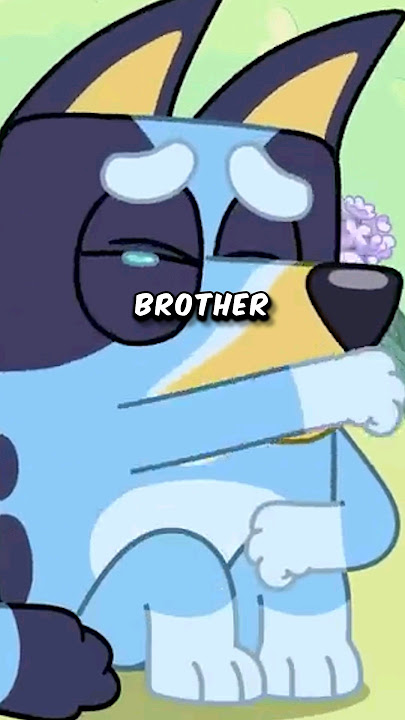 What Happened to Bluey's Older Brother? #shorts #bluey