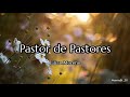 pastor de pastores - Lilian Moreno (letra)