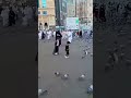 Ma Sha Allha Explore Music Youtube Makkha Mashala Virlvideo Madina Alharam Youtubeshorts Ma Sha Allha Explore Music Youtube Makkha Mashala Virlvideo Madina Alharam Youtubeshorts