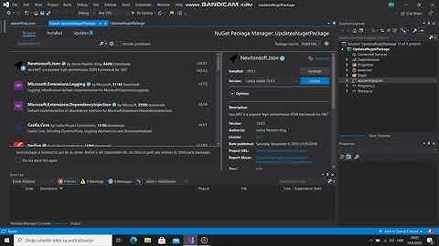 Visual Studio 2019 - Update And Uninstall Nuget Package