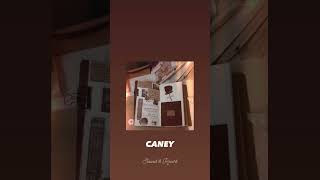 Azer Bülbül - Caney Slowed Reverb