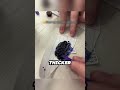 She Used INK For Hair Dye 