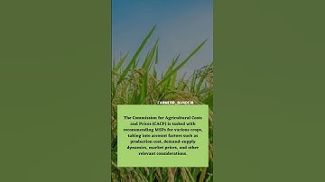 what is MSP in agriculture #msp #farmerr_bande18 #shortsvideos #cacp #punjabi #punjabisong #music